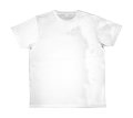 Heren T-shirt Superstar Tee Mantis M68 White